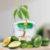 avoseedo grow kit