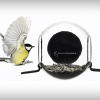 birdfeeder