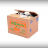 kitty bank katten spaarpot