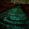 glow in the dark stenen