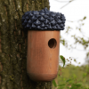 eikel nestkast