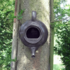 vogelhuisje theepot