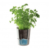 kruidenpot met waterreservoir