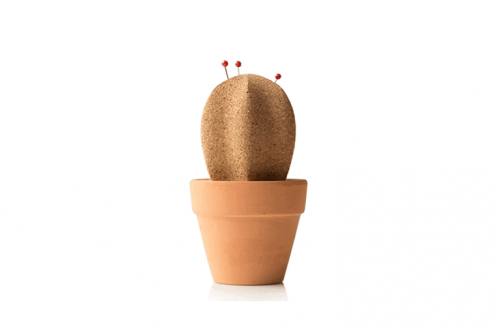 Cork Cactus Desktop Organizer