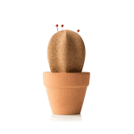 Kantoor Cactus van Kurk