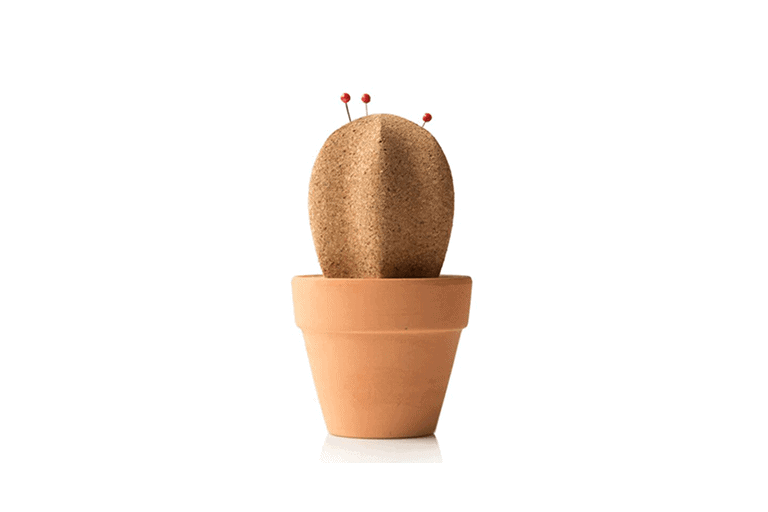 Leuk vinden Van Antagonisme Kantoor Cactus van Kurk 🌵 | Een Origineel Cadeau voor op Kantoor 🎁