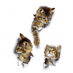3D Muurstickers Kat