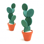 Cactus Coasters Plant