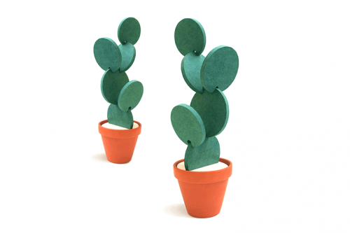 cactus onderzetters plant