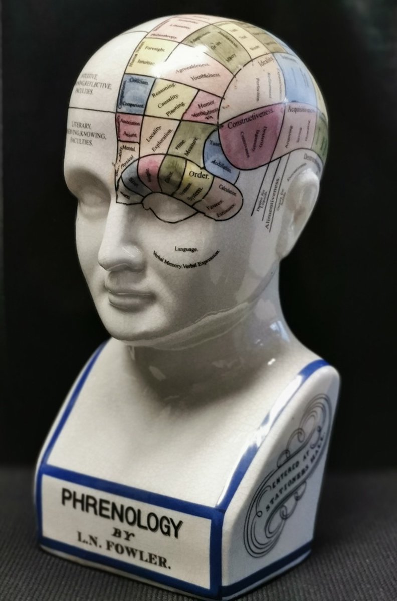 Boutique Trukado - Phrenology Keramiek Hoofd - 29cm - Frenologie hoofd